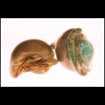 Under the Water 10x17x6 in.jpg